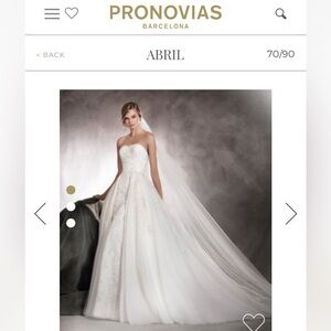 Pronovias’ Wedding dress and custom-made detachable skirt